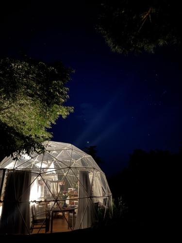 Flowerhaven - glamping dome, Hamilton (zdjęcie 4)