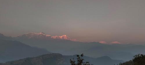 Into the mountain in Dhital