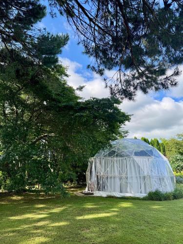 Flowerhaven - glamping dome, Hamilton (zdjęcie 3)
