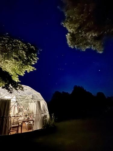 Flowerhaven - glamping dome, Hamilton (zdjęcie 8)