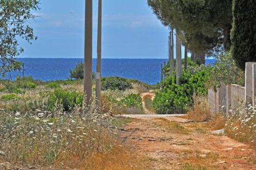 Villa Cotriero