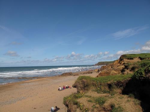 Pentire Coastal Holiday Park - image 5