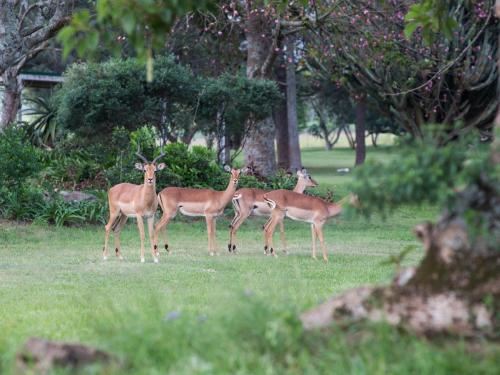 A környék, Fountainhill Estate Accommodation in Wartburg