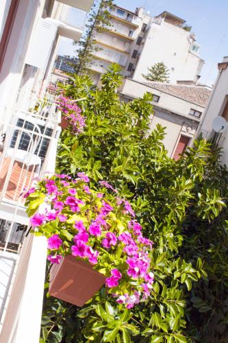 B&B Miro Centro Catania - image 11