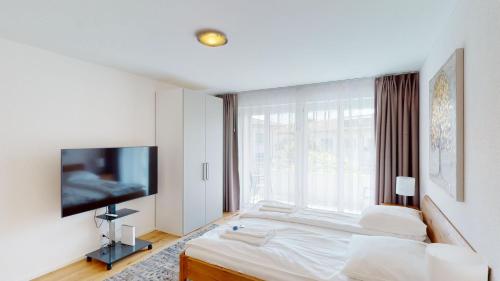 Amazing studio the city center, very sunny - Sun 4, Curych (fotografie 10)