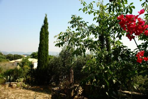 Musician's Round House & Castello