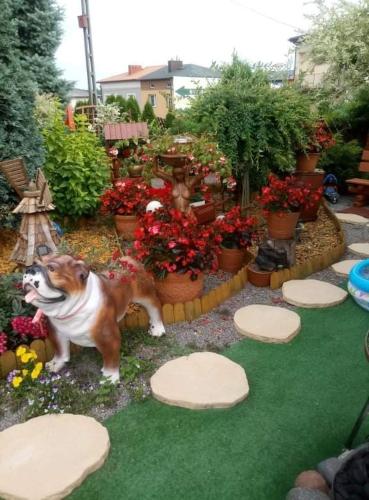 Noclegi U Waldiego Noclegi U Waldiego