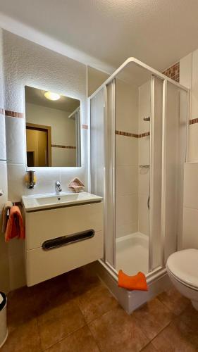 One-Bedroom Apartment image 6