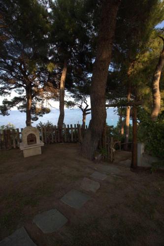 Evripidis Hotel - image 11
