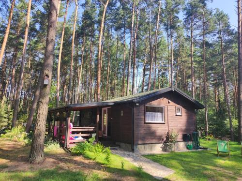 Exterior view of Domek pod sosnami