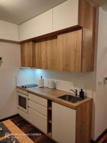 Kitchen, Studio apartman Cezar apartmani Borik in Bjelovar