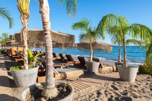 Aquarius Beach Hotel - image 3