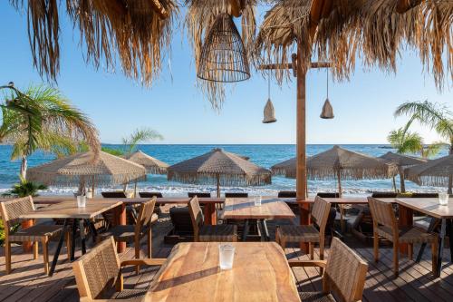Aquarius Beach Hotel - image 10