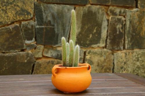 火瓜拉尼山林小屋