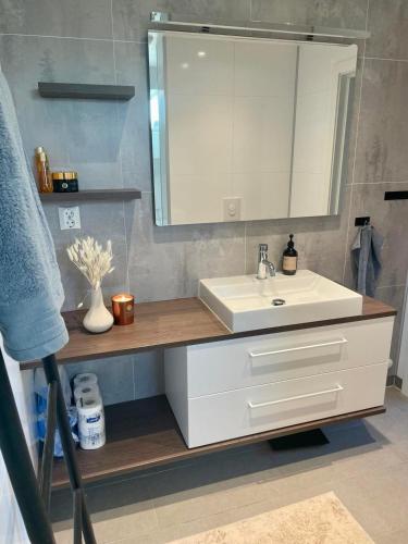 Baño, Beautifull house with 7 bedrooms in Sandefjord