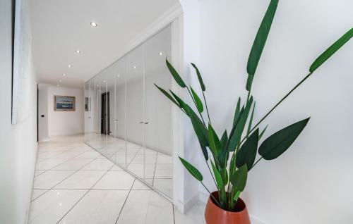 Gorgeous Apartment In Cannes With House Sea View - image 3