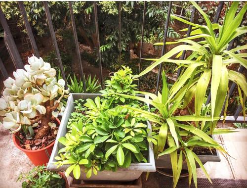 Appartement spacieux à Montpellier avec jardin, 78 m²