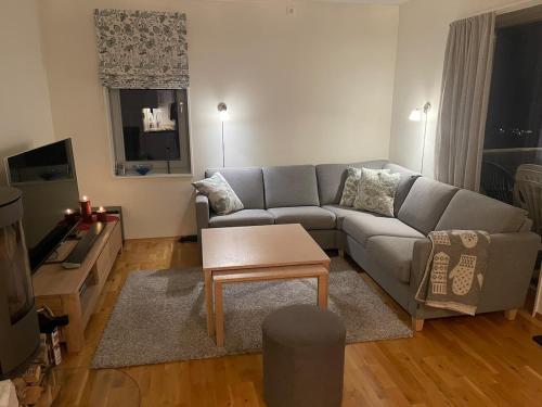 Apartment Sjusjøen in Sjusjoen