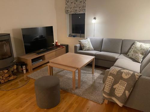 Apartment Sjusjøen in Sjusjoen