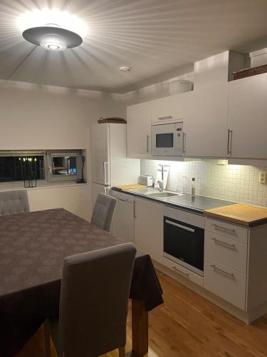 Apartment Sjusjøen in Sjusjoen