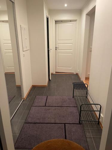 Apartment Sjusjøen in Sjusjoen