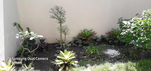 Garden, Griya 52 in Banyubiru