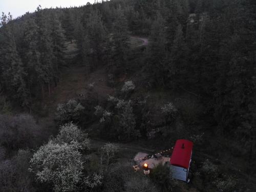 Runaway Express Coach