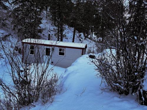 Runaway Express Coach