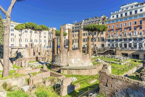 Splendid Home Pantheon - image 12