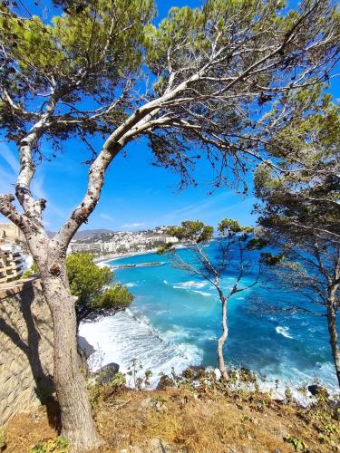 Casa Fina in Almunecar