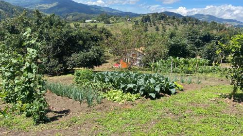 Valle Sereno, Hospedaje rural cerca del Salto del Buey, Abejorral (zdjęcie 5)