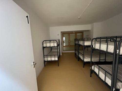 5 bunk beds