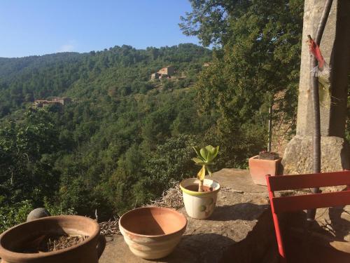 Petite terrasse en Cévennes (Petite terrasse en Cevennes) in Peyremale