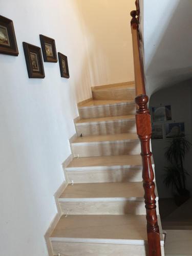 Νική κοσμά πηγάδι, Metamorfosi (Foto 7)
