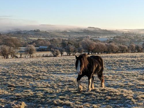 The Bothy at High Frost Hall in Allendale Town