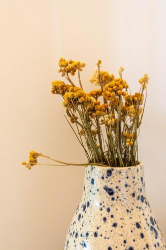 Les Roses du Vercors Maison Villard de Lans Les Roses du Vercors Maison Villard de Lans