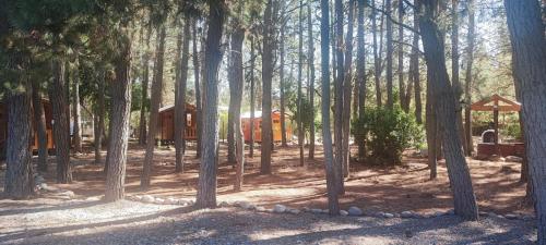 Hostal Rincon Luna