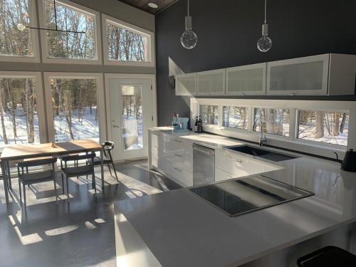 McCracken's Mid Century Modern Luxury Cottage in Mt Julian (ON)