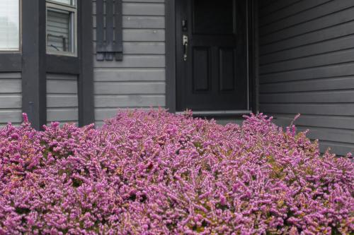 Sweet Home at Sunnyside - Room 2 in Surrey, Canada
