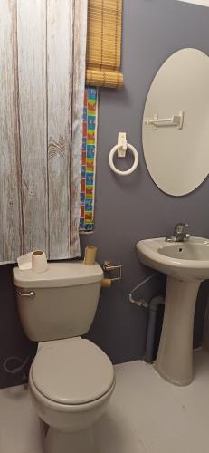 비에케 Rooster Run Camping is a - rooftop & elevated camping experience! Incredible views of The Rain Forre 3성급 게스트하우스 스위트룸