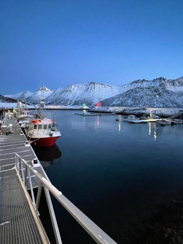 The View of the Senja mountains in Fjordgard