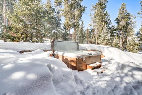 Spacious Breck Ski Lodge 5 Mins to Peak 8 Gondola! - main image