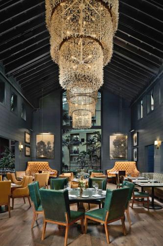 Gaylord Palms Resort & Convention Center - image 30