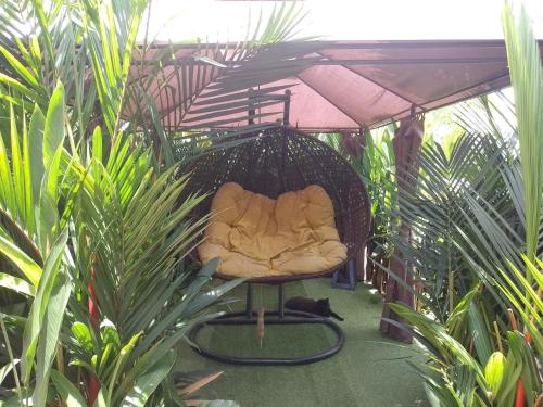 mi chalet, Villavicencio (fotografie 9)