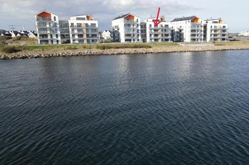 Fewo Kleine Auszeit by Seeblick Ferien ORO, direkter Wasserblick, am Strand (Fewo-Kleine-Auszeit-by-Seeblick-Ferien-ORO-direkter-Wasserblick-am-Strand) in Olpenitz