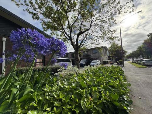 Abbey Motor Lodge - image 4