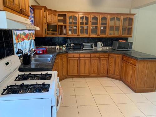 Diddy john aparrment rental property in St. Vincent