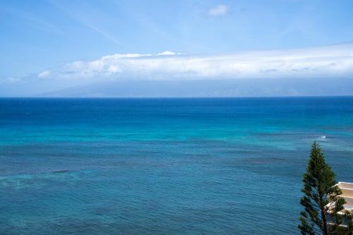 Studio Ocean View image 6