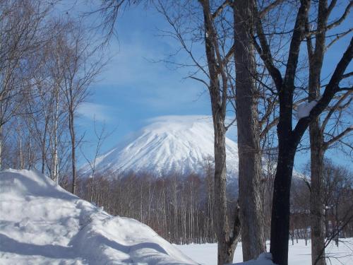 니세코 시로쿠마 코티지 (Niseko Shirokuma Cottage) in 니세코역