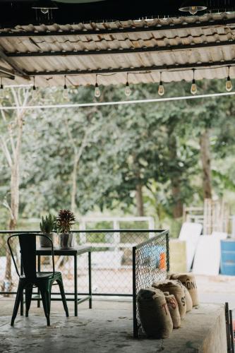 Foyer, THE SNAIL HAVEN PUB AND STAY in Côn Đảo Islands